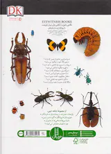 شاهد عینی حشرات